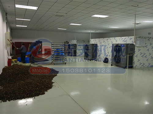 大型蔬菜烘干機